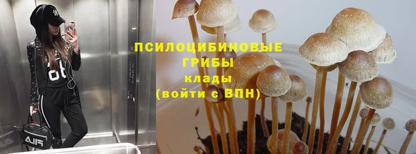 хмурый Белая Калитва