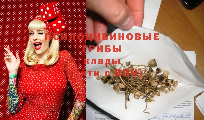 Галлюциногенные грибы MAGIC MUSHROOMS  где продают   Усолье-Сибирское 