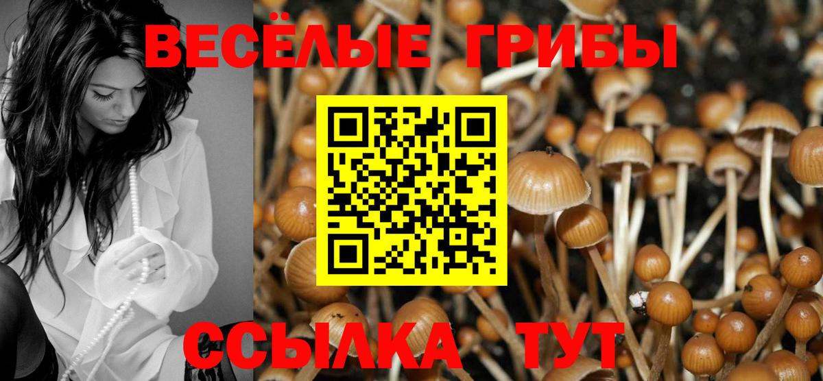 Усолье-Сибирское  Псилоцибиновые грибы Magic Shrooms  Вход с VPN 